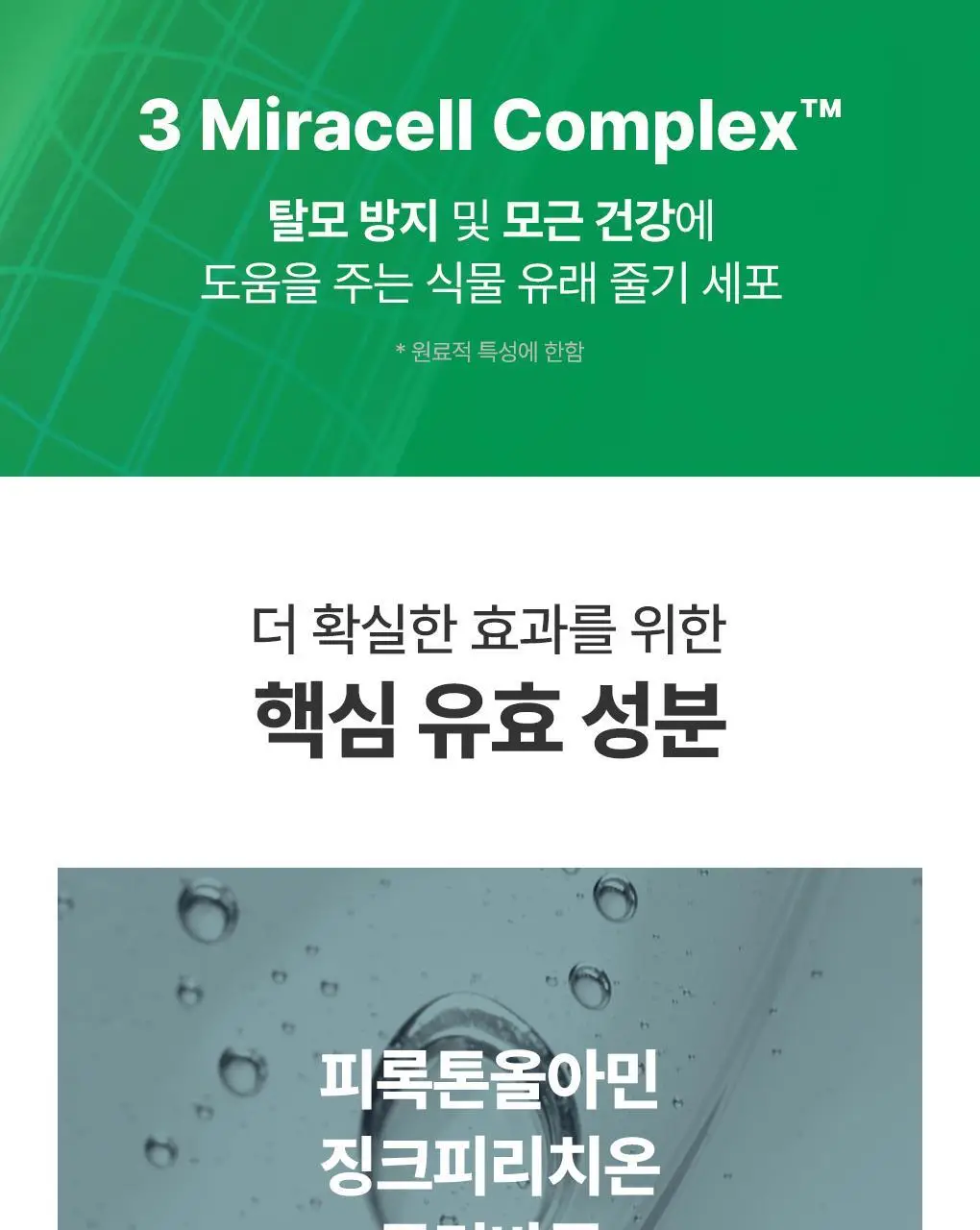 [지성 두피] 닥터방기원 댄드러프 샴푸 EX 탈모 케어 샴푸 (비듬/기름기 제거) 상세페이지 11